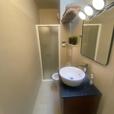 Little Loft On Roofs 摩德纳