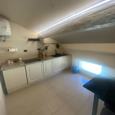 公寓 Little Loft On Roofs 摩德纳